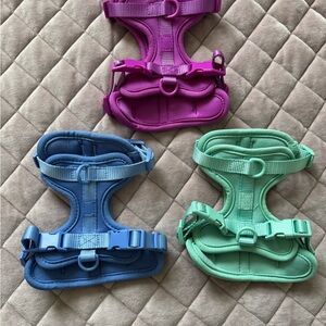 Wild One XS Dog Harness Set